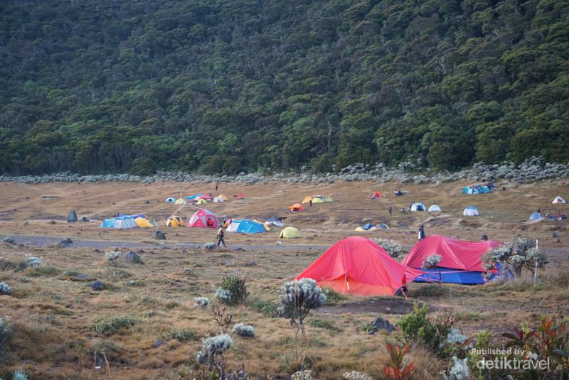 Area yg luas selain indah memang cocok untuk mendirikan tenda di sini