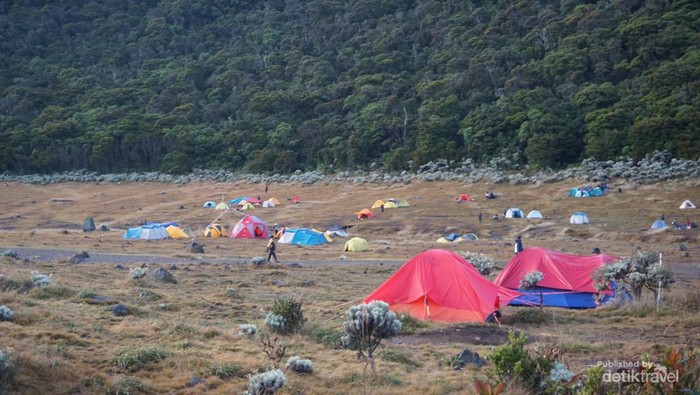 Area yg luas selain indah memang cocok untuk mendirikan tenda di sini