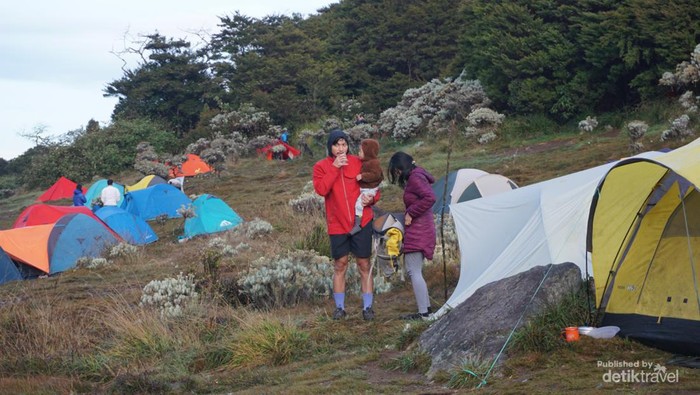 Camping bersama keluarga atau teman dijamin seru