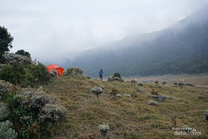 Kabut tipis masih menghiasi Surken udara terasa dingin