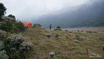 Indahnya Pagi di Alun-alun Surya Kencana Gunung Gede