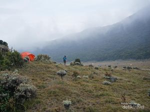 Banyak Pendaki Buang Sampah Sembarangan, Gede Pangrango Ditutup Sementara