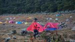 Indahnya Pagi di Alun-alun Surya Kencana Gunung Gede