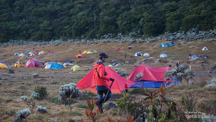 Gimana Tertarik untuk camping di Surken
