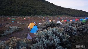 Indahnya Pagi di Alun-alun Surya Kencana Gunung Gede