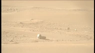 Ada Kucing di Mars?