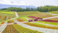Masih di tempat yang sama para pengunjung yang bertamu bisa menikmati lanskap sambil berkeliling menggunakan shuttle yang didorong menggunakan traktor lho.