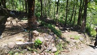 Pantauan detikJateng di lokasi, Kamis (15/9/2022), tempat pemakaman umum (TPU) Bulu itu dikelilingi kebun dan hutan jati. Foto: Ria Aldila Putri/detikJateng