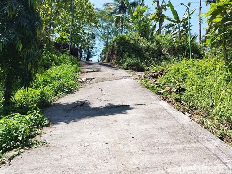 Lokasi truk nyasar ke kuburan atau TPU Bulu di Dusun Bogosari, Desa Pringsari, Kecamatan Pringapus, Kabupaten Semarang, Kamis (15/9/2022).