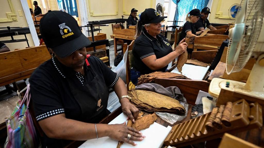 Mengintip Pembuatan Cerutu Paling Terkenal di Kuba