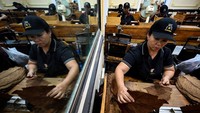 Seorang pekerja melinting cerutu di pabrik Cohiba di Havana. Menggulung daun sendiri adalah tradisi yang bertahan di kalangan petani di provinsi barat Pinar del Rio, di mana sebagian besar perkebunan tembakau Kuba berada.