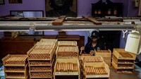 Seorang pekerja memeriksa kualitas cerutu di pabrik Cohiba di Havana. Cerutu favorit Castro, Cohiba Lancero, yang ia hisap hingga berhenti pada 1985 di usia 59 tahun, masih diproduksi di pabrik.