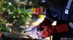 Melihat Warga yang Berlatih Ngelas, Buat Apa?