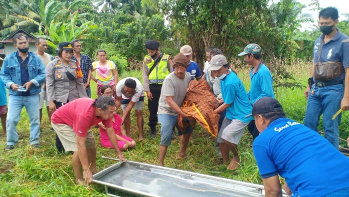 Proses evakuasi jenazah petani yang meninggal saat istirahat potong rumput di Subak Caguh, Banjar/Desa Sembung Gede, Tabanan, Kamis (14/9/2022).