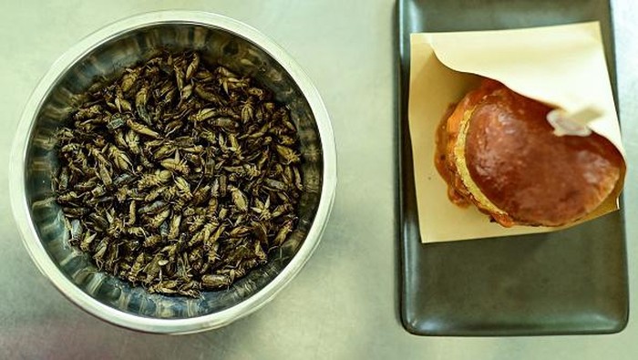 Resto di Thailand Jual Burger dari Jangkrik, Mau Coba? This photo taken on August 30, 2022, shows a plate of