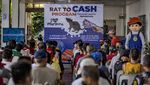 Tikus Ramai-ramai Ditangkap di Filipina, Ternyata Bisa Jadi Duit