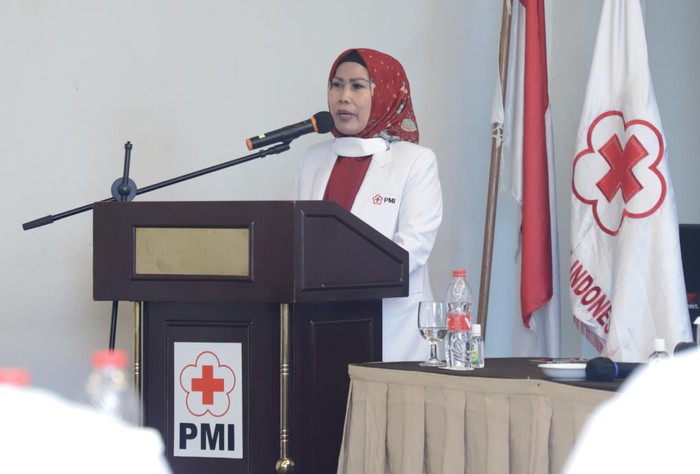 Bupati Serang Ratu Tatu Chasanah