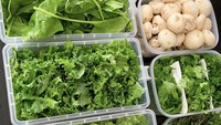 Lewat Instagram, chef Renatta menunjukkan meal prep ala dirinya. Ia menyiapkan aneka sayuran hijau dalam kotak-kotak makan.