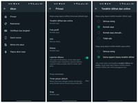 Fitur sembunyikan status online WhatsApp sudah tersedia di Indonesia