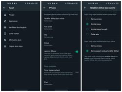 Cara Menyembunyikan Status Online Resmi dari WhatsApp