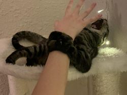 Yakin Melihat Gambar Ini Mata Tak Terkecoh?