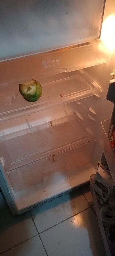 Heboh Penampakan Kulkas Kaum 'Middle Class' di Jakarta, Apa Isinya?