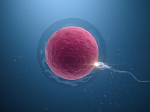 Kisah Bayi Pertama di Dunia Lahir dari Robot Sperma, Begini Awal Mulanya