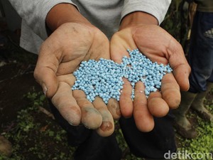 Ciri-ciri Pupuk Palsu dan Dampaknya yang Merugikan, Apa Saja?