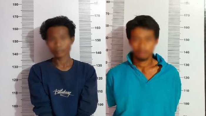Polisi menangkap pencuri kerbau di Kabupaten Luwu, Sulawesi Selatan (Sulsel).