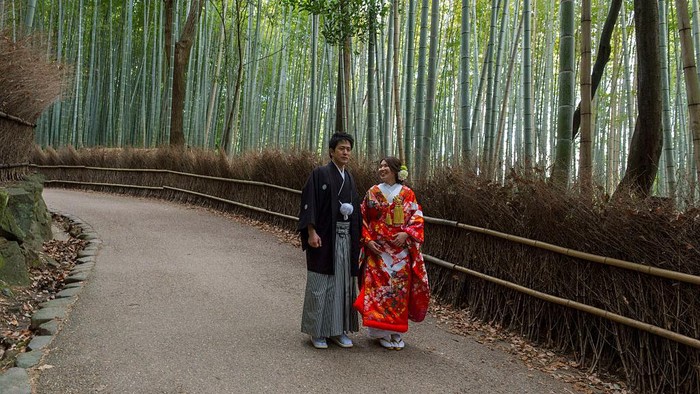 Bicara soal destinasi wisata di Jepang rasanya tak akan pernah habis. Hutan bambu juga menjadi salahs atu destinasi favorit. Yuk, intip foto-fotonya.