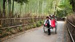 Menikmati Sunyi Hutan Bambu di Jepang yang Bikin Hati Adem