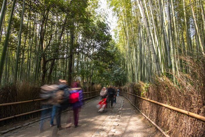 Hutan bambu di Jepang