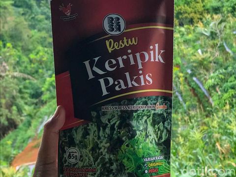 Oleh-oleh Pangandaran unik, Keripik Pakis.