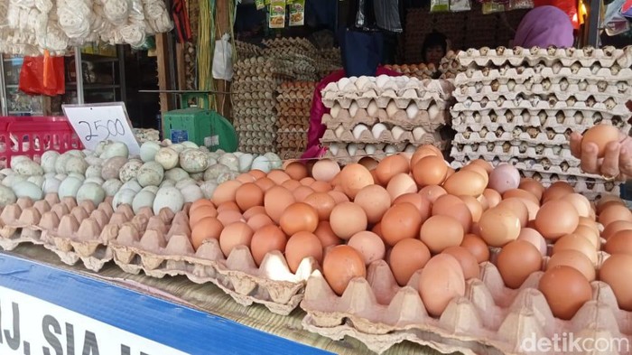 Harga telur ayam ras di Kota Palopo, Sulawesi Selatan (Sulsel) dipatok di harga Rp 63.000/rak. Ada selisih kenaikan Rp 11.000 dari harga sebelumnya