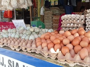 Ternyata Ini Biang Kerok Harga Telur Ayam Naik
