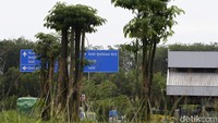 PT Hutama Karya (Persero) juga melakukan penghijauan di sekitar rest area.