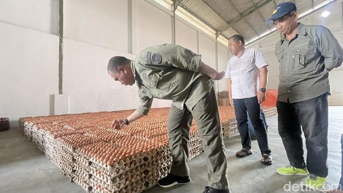 Direktur Jenderal Peternakan dan Kesehatan Hewan Kementan Nasrullah bersama peternak asal Sidrap.