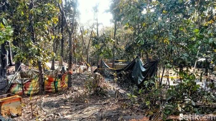 Sumur minyak ilegal di Muba, Sumsel semburkan minyak.