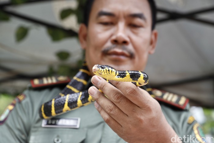 Suyatno, polisi hutan