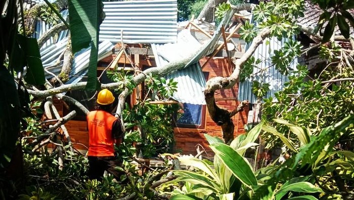 Tim Reaksi Cepat dari BPBD Gianyar saat melakukan proses pembersihan di lokasi kejadian, Jumat siang (16/9/2022).