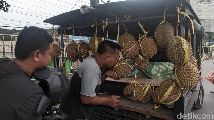 Dibilang Mirip Ferdy Sambo Ini Potret Penjual Durian Viral Di Demak