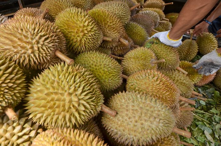 Beli Durian 1.080 Kg, Penjual Ini Diduga Ngutang Rp 26 Juta
