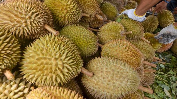 Beli Durian 1.080 Kg, Penjual Ini Diduga Ngutang Rp 26 Juta