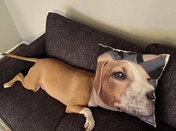 Yakin Melihat Gambar Ini Mata Tak Terkecoh?