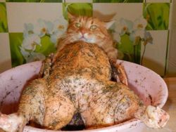 Yakin Melihat Gambar Ini Mata Tak Terkecoh?