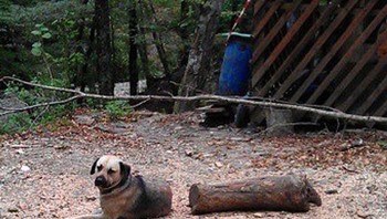 Badan terbelah. Foto: Reddit