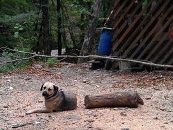 Yakin Melihat Gambar Ini Mata Tak Terkecoh?