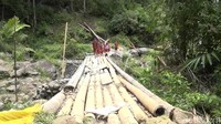 Dikatakan warga bahwa tak jarang jembatan ini hanyut terbawa arus jika air sungai sedang naik. Jika itu terjadi, mau tak mau warga terpaksa bergotong royong untuk membangun kembali jembatan dengan alat dan bahan seadanya. Foto: Rachmat Ariadi/detikSulsel.