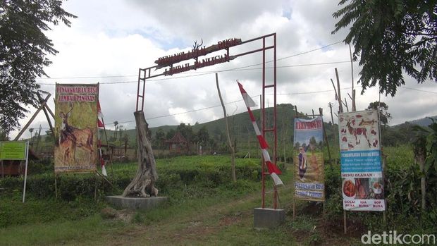 Penangkaran Rusa di Lembah Paniisan Subang.