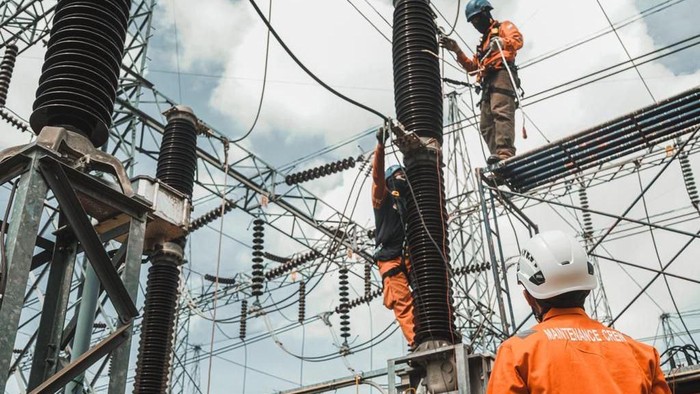 PLN